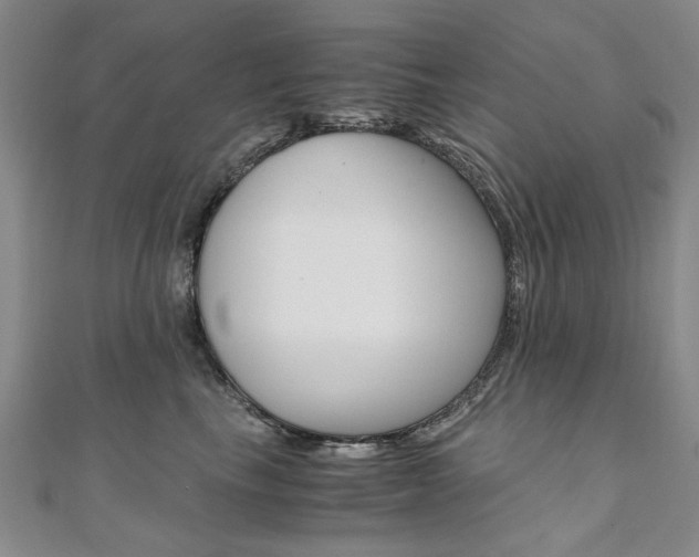 X0000110890665200906181007