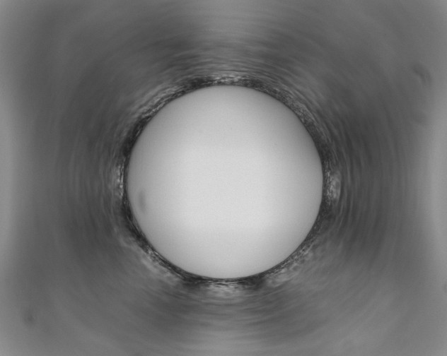X0000110890666200906181007
