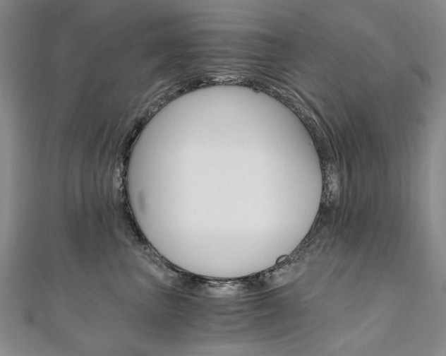 X0000110890667200906181007