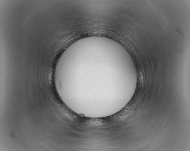 X0000110890668200906181007