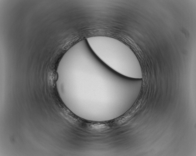 X0000110890669200906181007