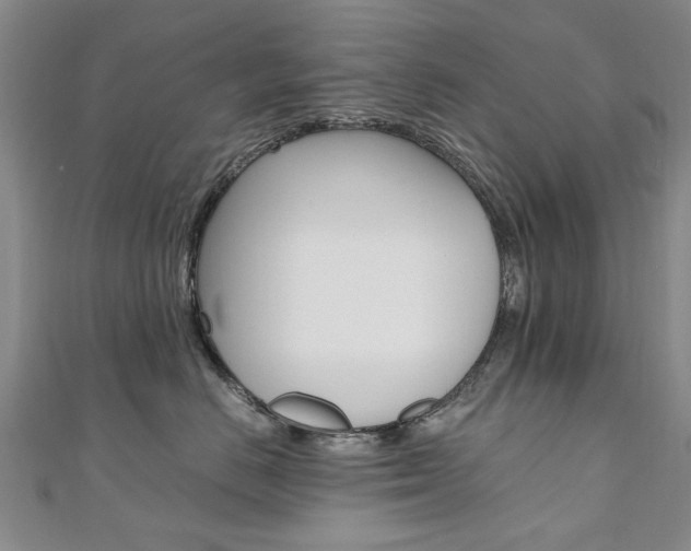 X0000110890670200906181007