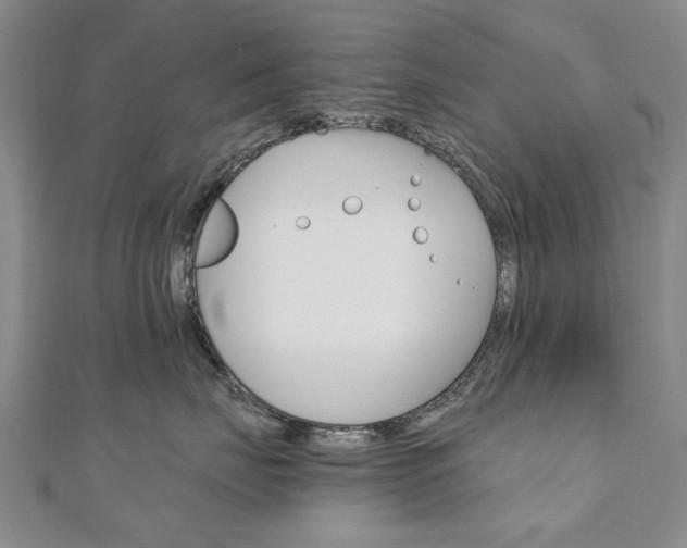 X0000110890671200906181007