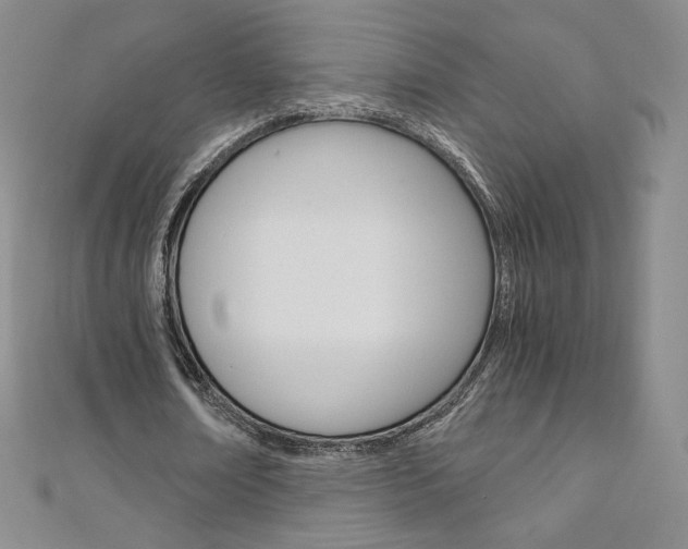 X0000110890674200906181007