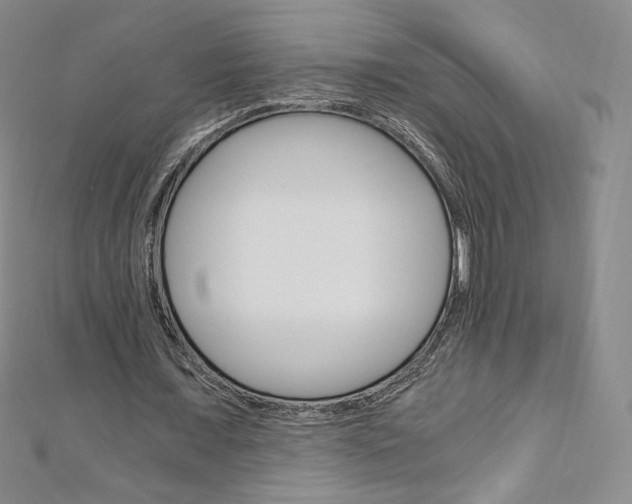 X0000110890675200906181007