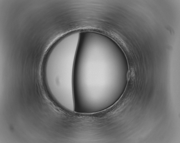 X0000110890676200906181007