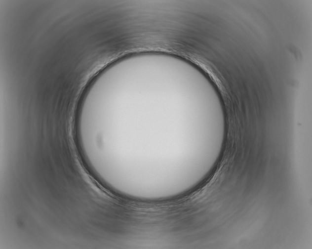 X0000110890677200906181007