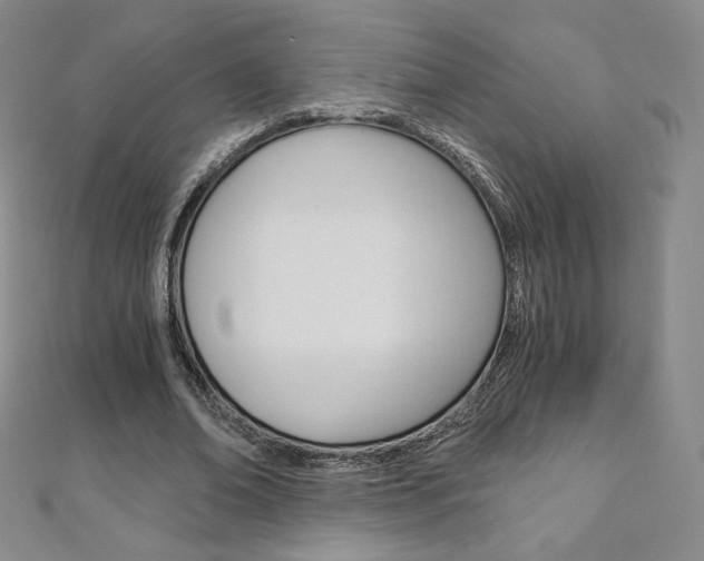 X0000110890678200906181007
