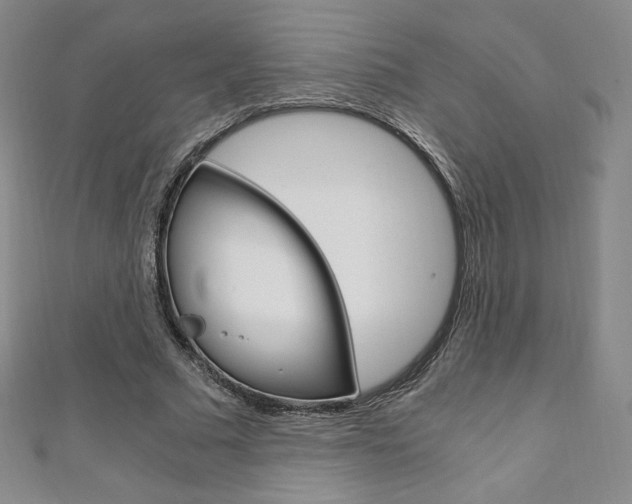X0000110890681200906181006