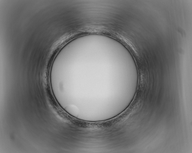 X0000110890682200906181006