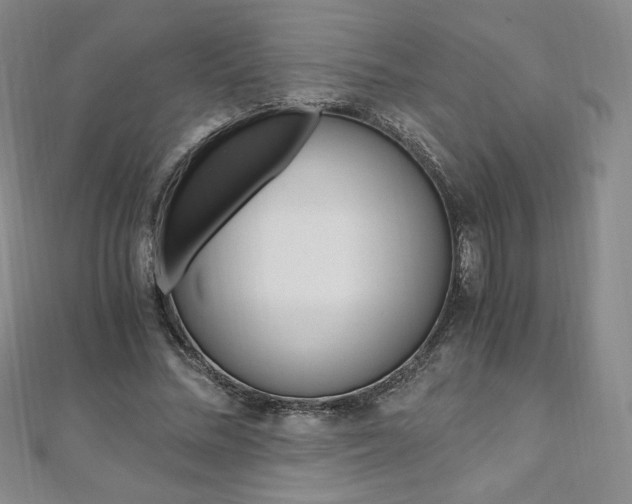 X0000110890684200906181006
