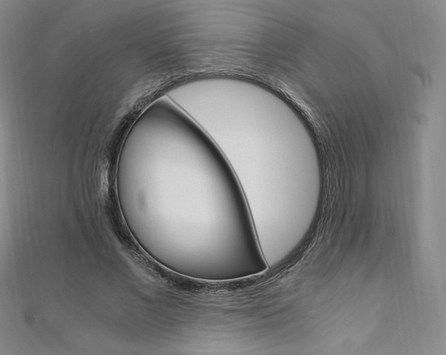X0000110890685200906181006
