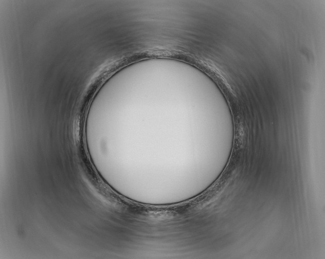 X0000110890686200906181006