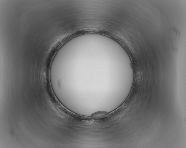 X0000110890688200906181006
