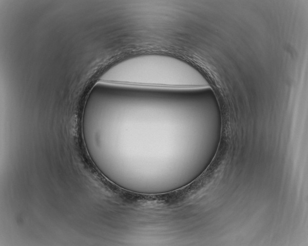 X0000110890689200906181006
