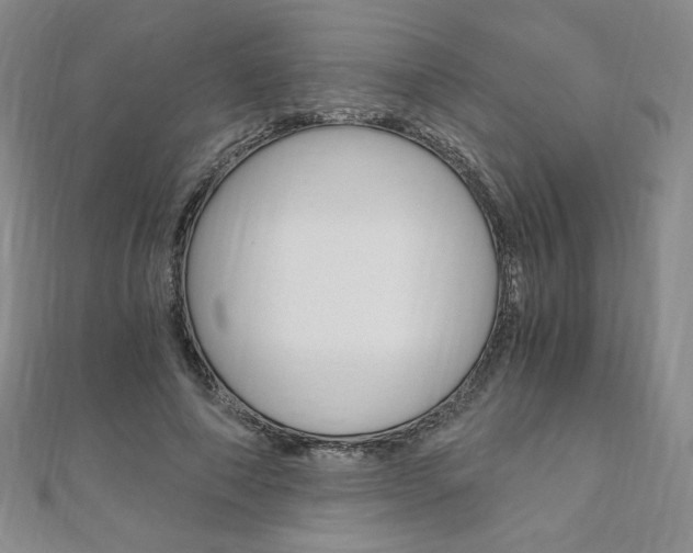 X0000110890690200906181006