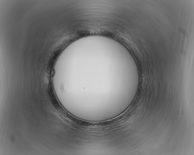 X0000110890691200906181006