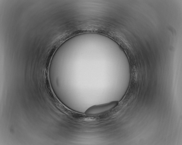 X0000110890692200906181006