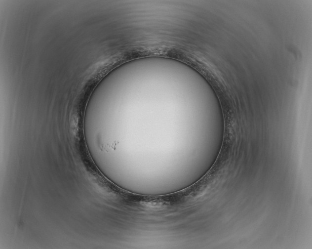 X0000110890693200906181006