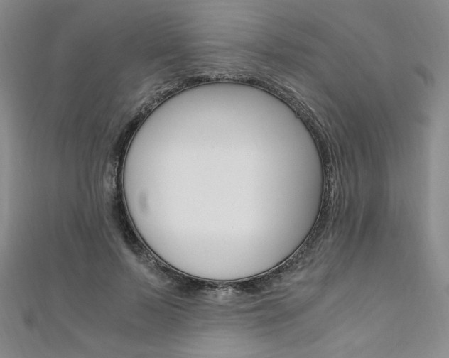 X0000110890695200906181006