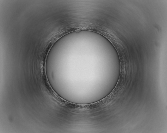 X0000110890696200906181006