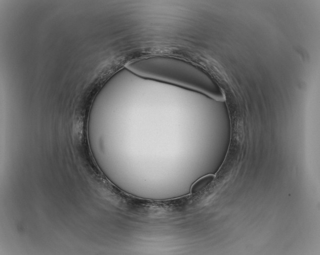 X0000110890697200906181006