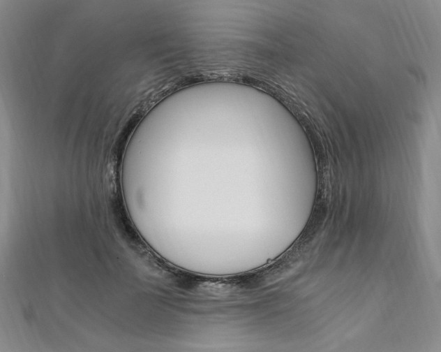 X0000110890699200906181006