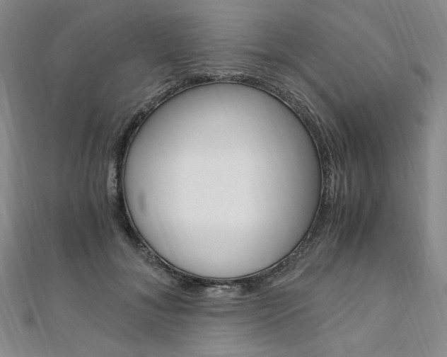 X0000110890700200906181006