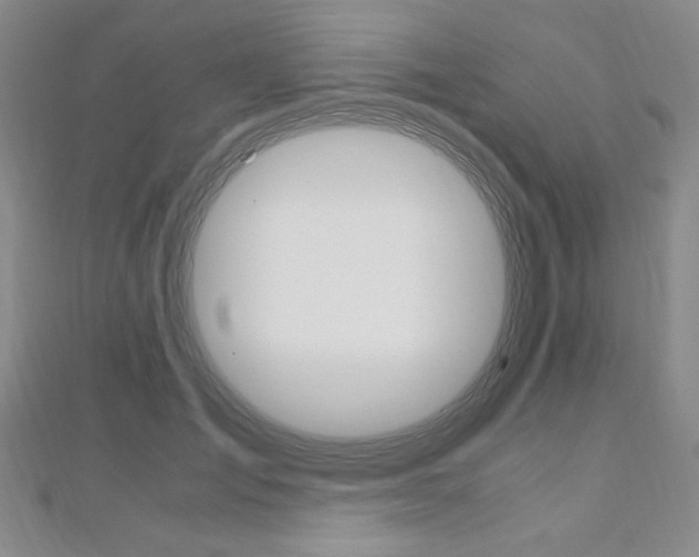 X0000110890701200906181006