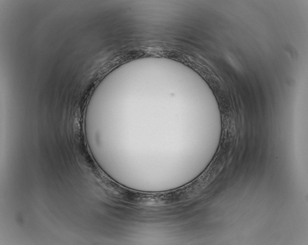 X0000110890702200906181006