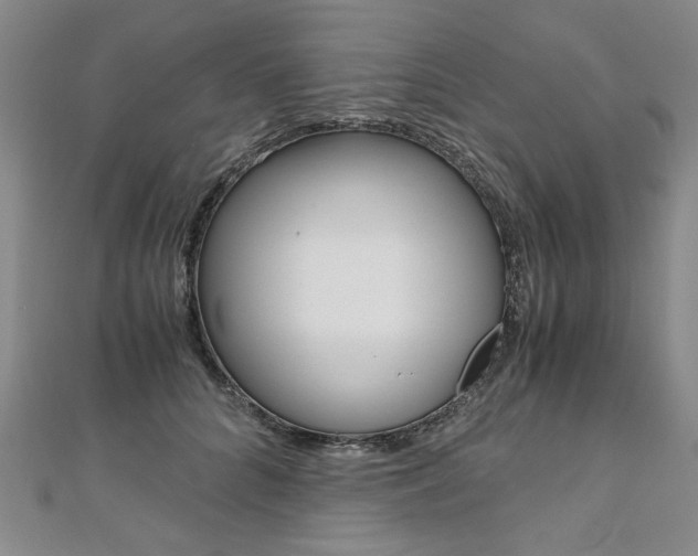 X0000110890704200906181006