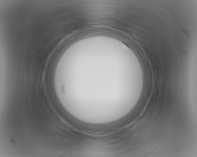 X0000110890705200906181006