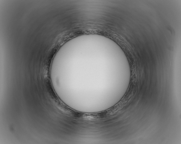 X0000110890706200906181006