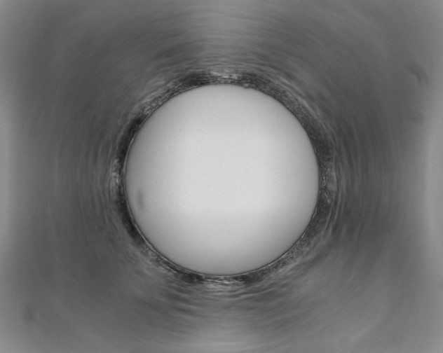 X0000110890707200906181006