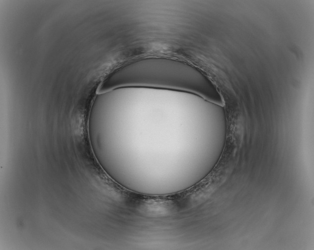 X0000110890708200906181006
