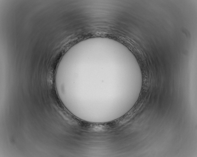 X0000110890710200906181006