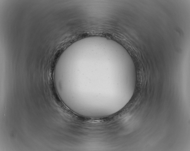 X0000110890711200906181006