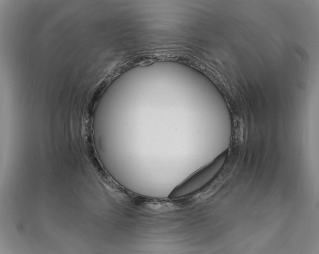 X0000110890712200906181006