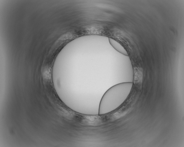 X0000110890713200906181006