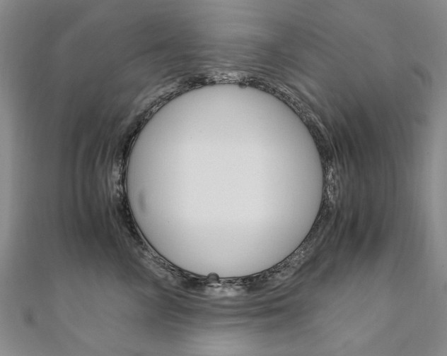 X0000110890714200906181006