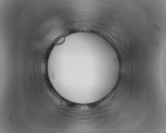 X0000110890715200906181006