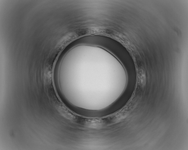 X0000110890716200906181006