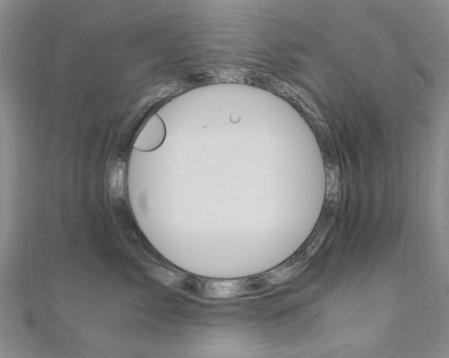X0000110890717200906181006