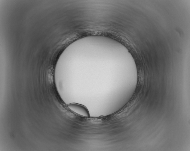 X0000110890719200906181006