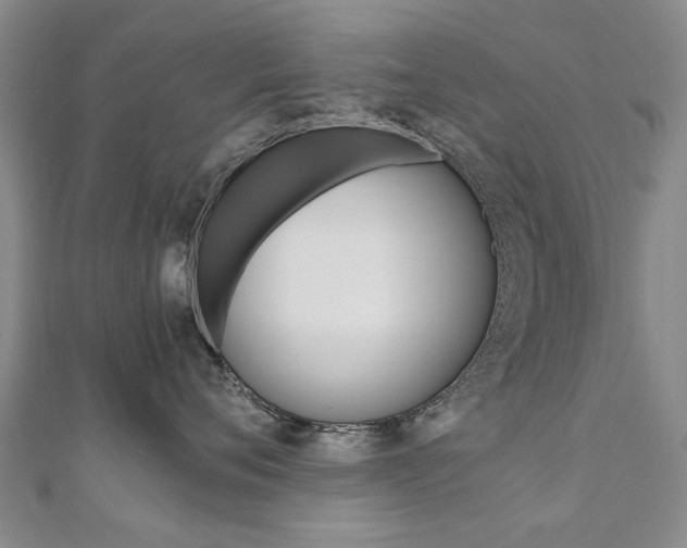 X0000110890720200906181006