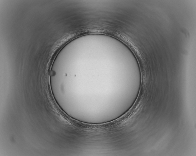 X0000110890721200906181005