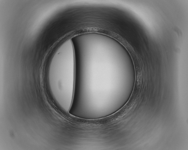 X0000110890722200906181005