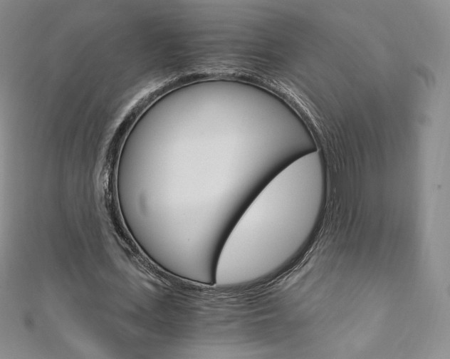 X0000110890723200906181005