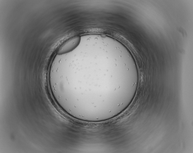X0000110890725200906181005