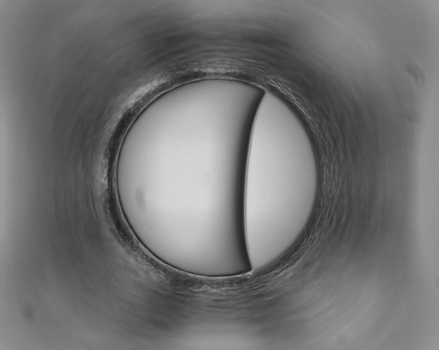 X0000110890727200906181005